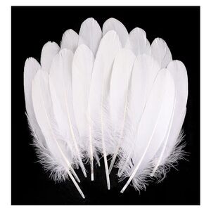 White Goose Feathers - 50 Pack